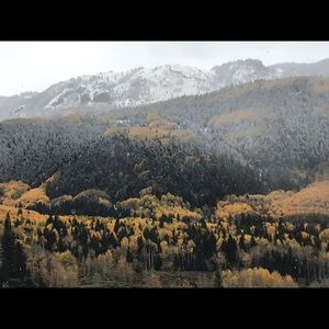 Meet your Posher, Andrea